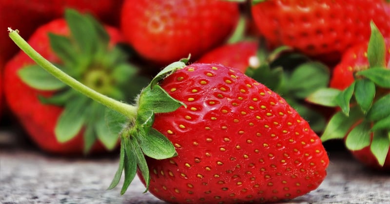 Superaliments au quotidien : 10 astuces simples pour une alimentation saine